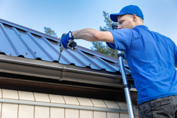 Best Skylight Installation and Repair  in Mcalester, OK